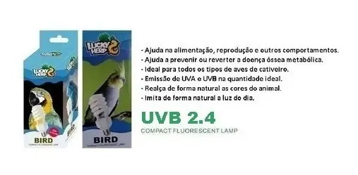 Lampada Uva/uvb 2.4 20w Para Aves E Pássaros - Imagem 5